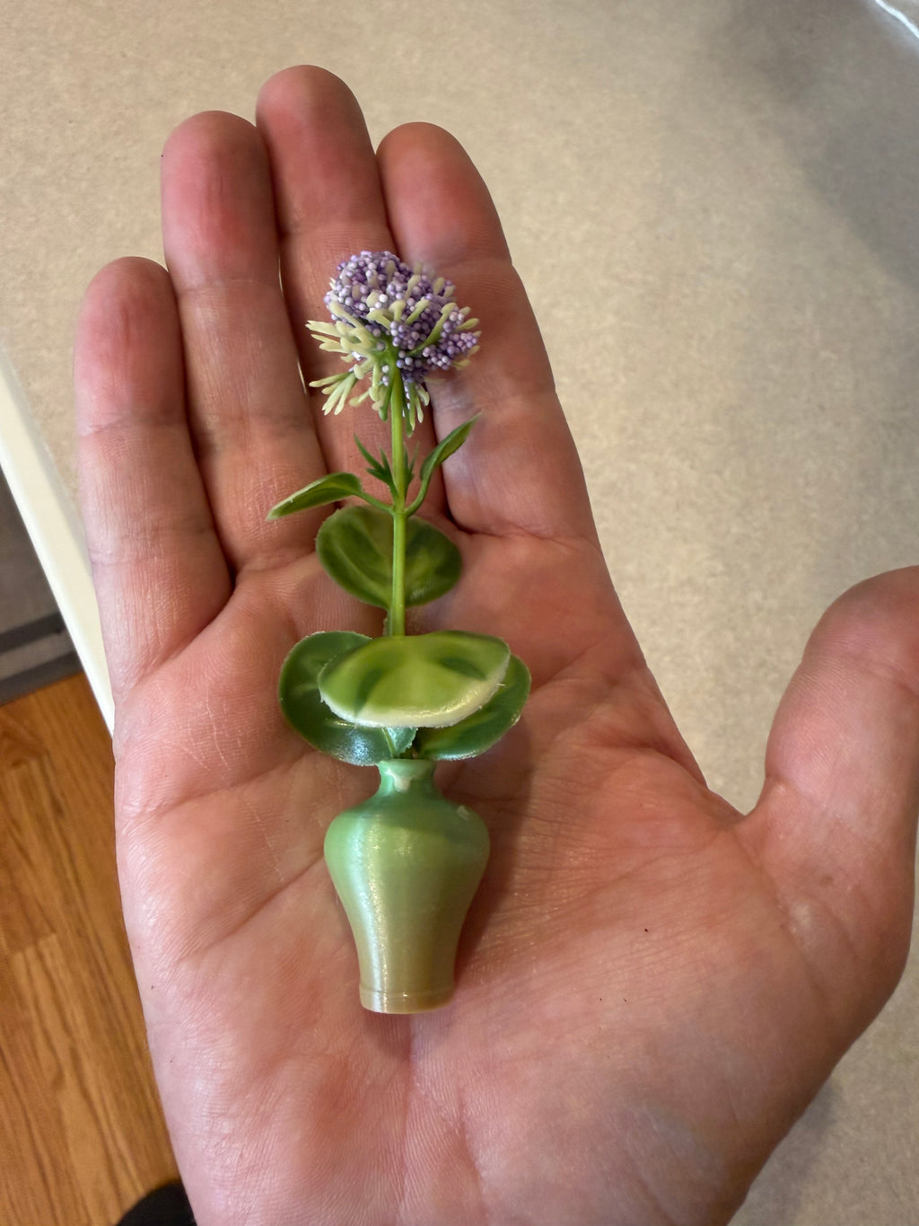 Everbloom Magnets
